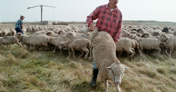 Kacifántos tb-szabályok: hogyan lesz nyugdíjuk az őstermelőknek?