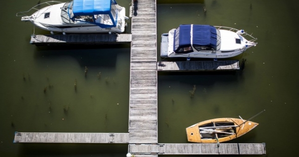 Toronyadó, lóadó, hajóadó