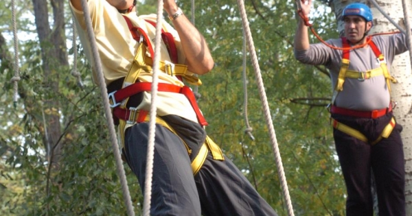 Adómentes juttatás: sokat veszíthetnek az ügyeskedő cégek