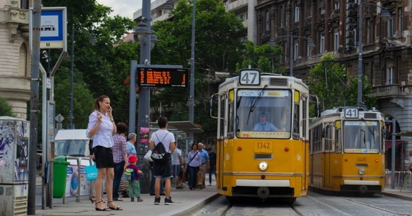 Csak a kézbesítőnek adna a cég helyi bérletet, helyes-e ez, hogyan adózik?