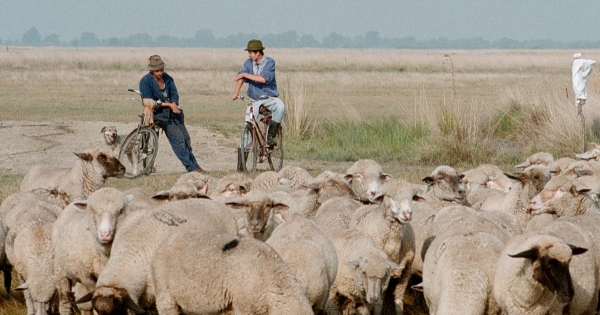 Őstermelők, figyelem! Fontos határidő közeleg
