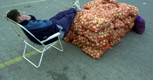 Őstermelői igazolvány – ettől is függ, minek minősül a bevétel