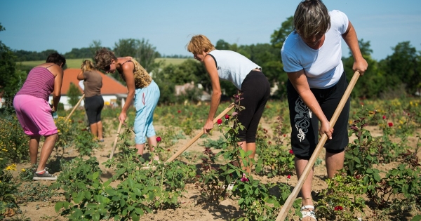 Erre kell figyelni mezőgazdasági és turisztikai idénymunkások alkalmazásakor