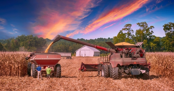 Elkeserítők a III. negyedév GDP adatai