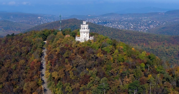Havi 120 ezer forint bérleti díjat fizet az Erzsébet-kilátó kávézója, aztán kiderült, ugyanaz lett a kedvezményezett vállalat vezetője, aki az önkormányzat részéről intézte az ügyet