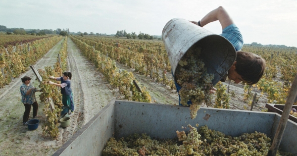 Egyszerűsített foglalkoztatás – ön mit gondol róla?