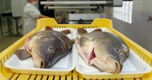 A csökkenő adók éve lesz 2018