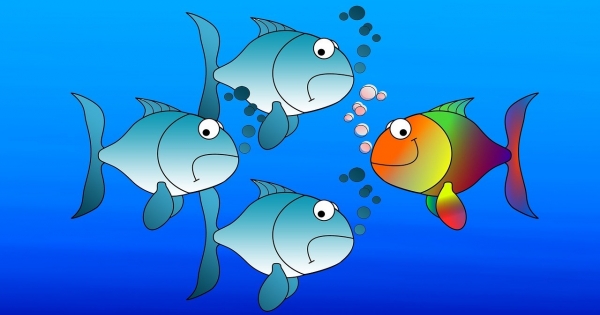 Minimumjárulék-fizetési kötelezettség vs. ekho szerinti adózás