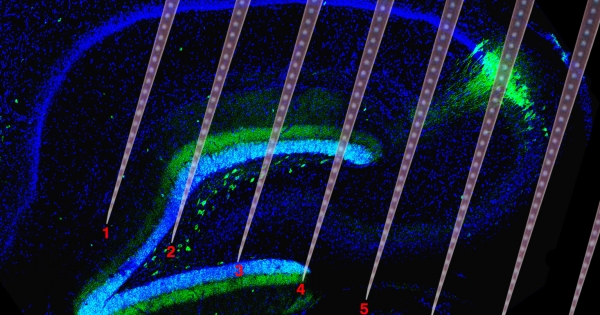 Ezeket kell tennie, ha adókedvezményt szeretne K+F alapján
