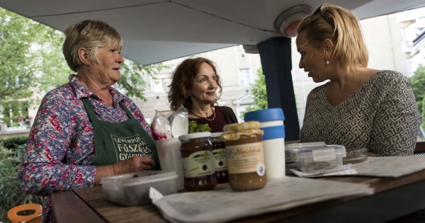 Így dolgozhat a segítő családtag