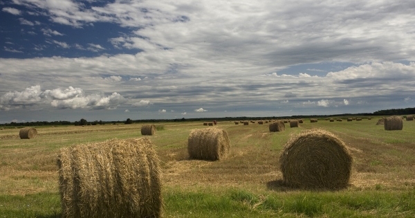 Így változtak a termőföldilletékek szabályai