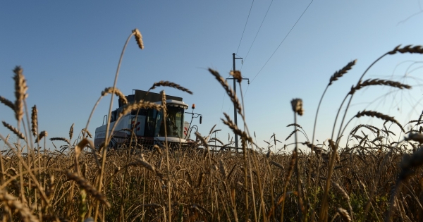 Termőföld bérbeadása utáni adózás