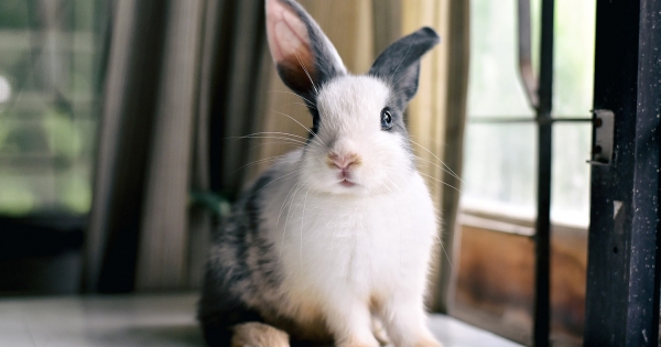 Indul a húsvét előtti országos NAV-razzia