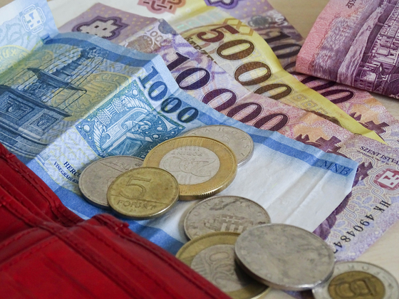 Magyarországon csökkent a legnagyobbat a fizetések vásárlóereje a régióban