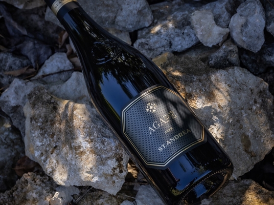 Magyar bor került a világ legjobbjai közé, az árát is megkérik