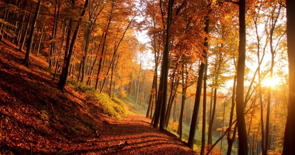 Újdonságok a magyar ESG-szabályozásban