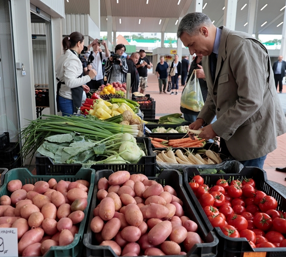 Van egy zöldség, amelynek nemhogy nőtt, még csökkent is az ára idén