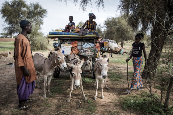 Soha nem látott gazdasági válságba sodorhatja Afrikát az amerikai és más segélyek csökkenése