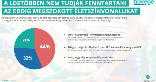 Hovege.hu: a magyarok túlnyomó többsége anyagi helyzetének drasztikus romlására számít