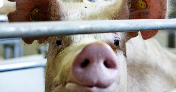 Adatgyűjtés, összeírás lesz a mezőgazdaságban