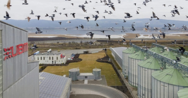 Már a tejelőtevetápot fejleszti közép-ázsiai gigabefektetéséhez a magyar takarmányos multi