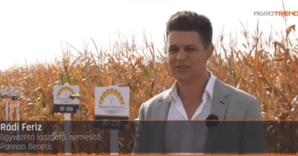 Költségvetési csalás miatt körözik a szegedi Fidesz elnökét