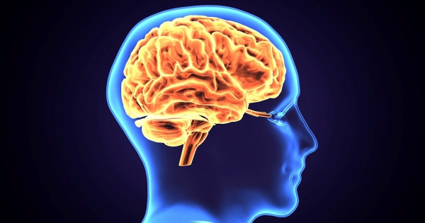 A szellemi termékek számviteli és adózási megítélése 2025-ben