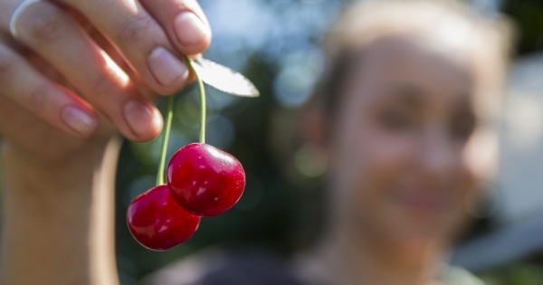 Ne kockáztasson milliókat egyszerűsített foglalkoztatásnál!