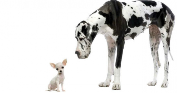 Ön KATA-ás? Tudja meg, miért nem ajánlhatja fel adója 1%-át!