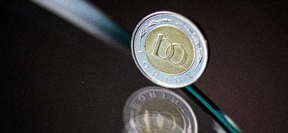 A kormányt meglepte, hogy nem sikerült elüldözni a külföldi biztosítókat