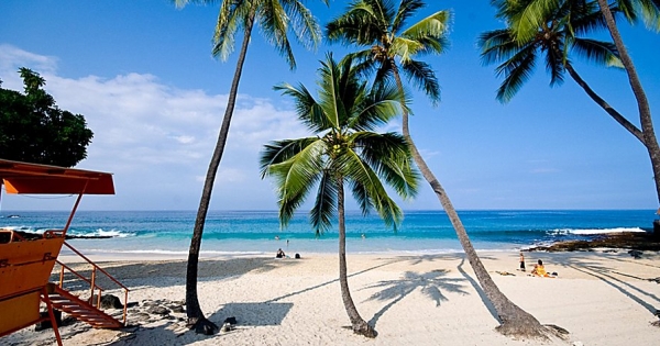 Egyre kevesebb az adóparadicsomokban bejegyzett, magyar érdekeltségű cég