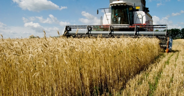 Őstermelő áfázna, hogyan léphet át az áfakörbe?
