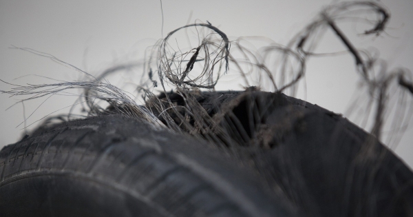 Hűtőtáska, hulladék: változások a környezetvédelmi termékdíjban