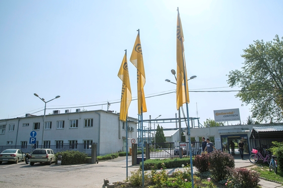 A sajtóból tudták meg a makói Continental dolgozói, hogy miért rúgják ki őket