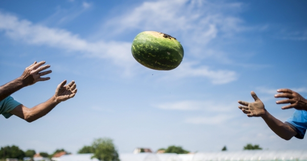 Családi gazdaság alapítására és működtetésére vonatkozó alapvető szabályok