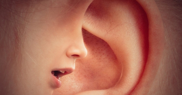 Visszaélés-bejelentési szabályok kiépítése: már egy hónap sincs hátra a határidőig