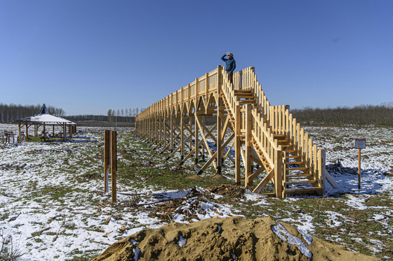 Az Integritás Hatóság réseket keresett a tarra vágott lombkorona sétánynál