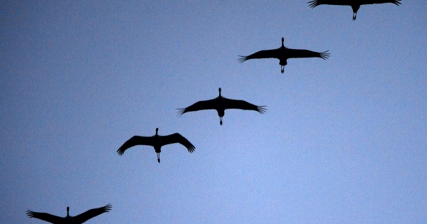 Jönnek-mennek a munkavállalók: így tarthatja meg őket a cég