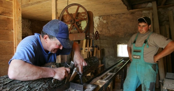 Nyugdíjas vs. kiegészítő tevékenységet folytató: útvesztők, igazodási pontok a biztosítási kötelezettség meghatározásakor