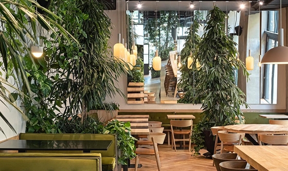 Egy év alatt tönkrement Budapest egyik legmenőbb helye