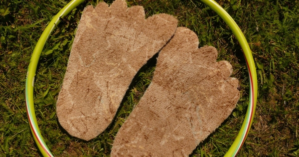 Egyesület, alapítvány gründolása és adózása