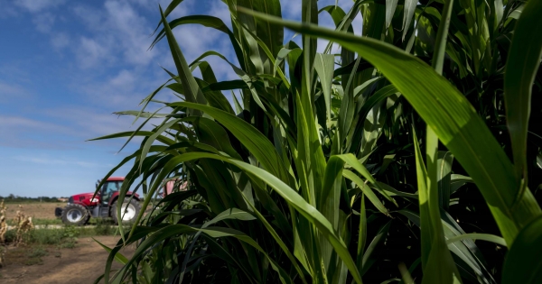 Február 1-jétől változik az illetéktörvény: vége az ingatlanspekulációknak?
