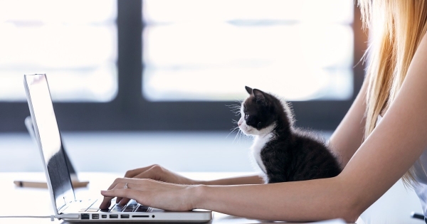 Távmunka vs. home office – mutatjuk a munkajogi szempontból lényeges különbségeket