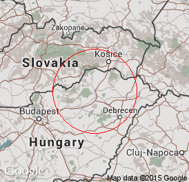 Korlátolt felelősségű társaság | Könyvelés | Miskolc