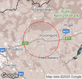 Kft | Könyvelés | Gyöngyöshalász