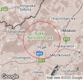 Egyéni vállalkozó (főállású) | Könyvelés | Felsőtárkány