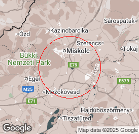 Magánszemély | Könyvelés | Nyékládháza 