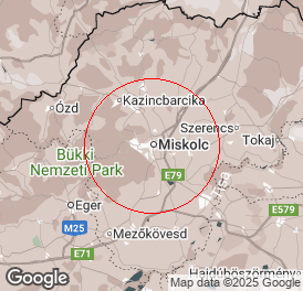 Egyéni vállalkozó (főállású) | Könyvelés | Miskolc