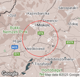 Kft | Könyvelés | Hejőszalonta