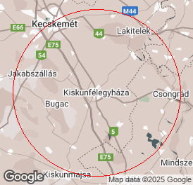 Kft | Könyvelés | Kiskunfélegyháza